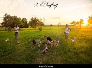 00_ringa-4867p_1000_9